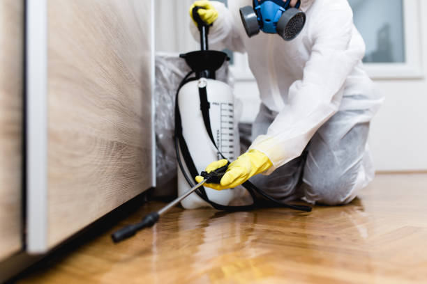 Best Termite Control Services  in Dover, FL