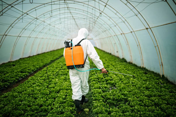 Best Pest Control Near Me  in Dover, FL