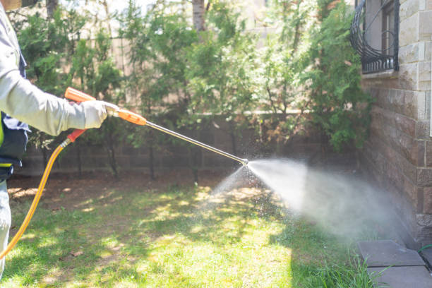 Best Mosquito Control Services  in Dover, FL